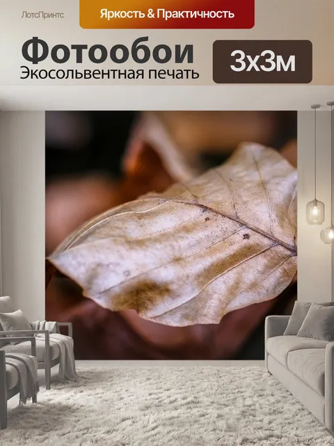 Фотообои Лист