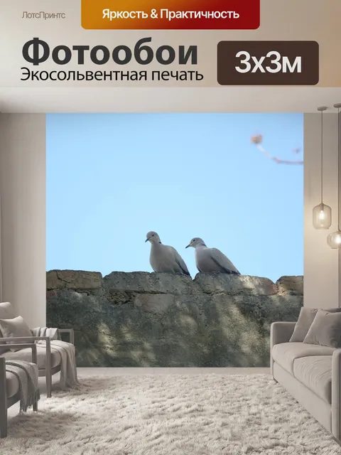 Фотообои Птица