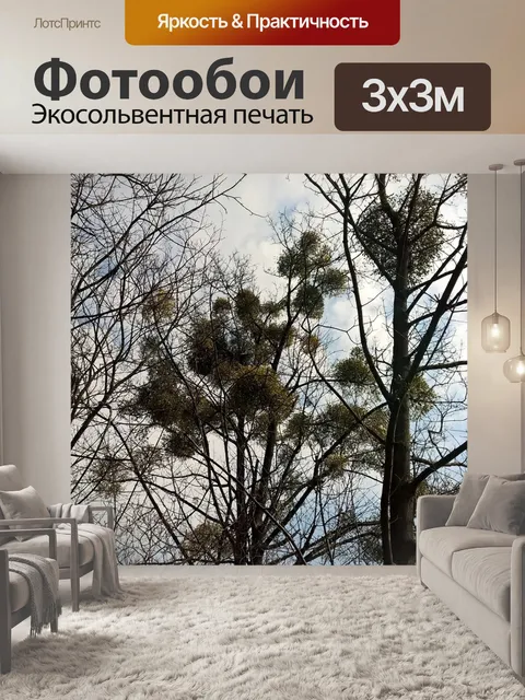 Фотообои Омела