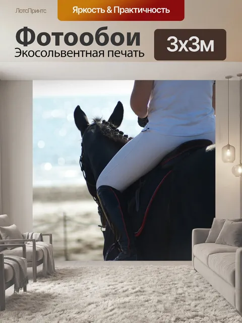 Фотообои Лошадь