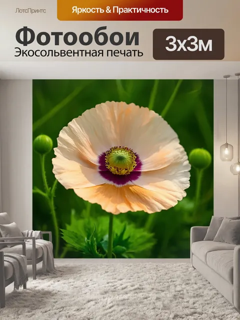 Фотообои бежевый мак с зелеными листьями, макросъемка, изумительное сочетание цвета и формы
