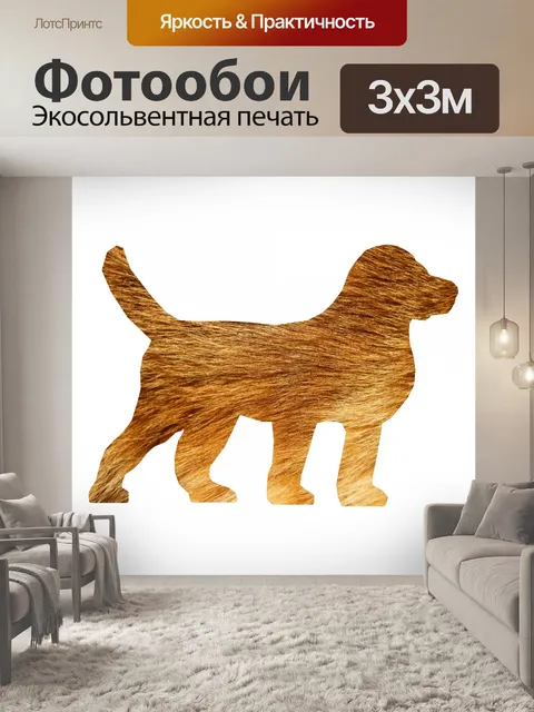Фотообои мех собаки