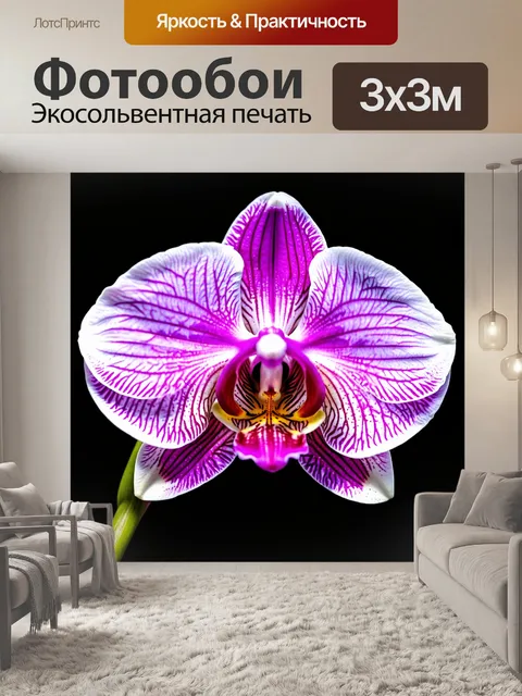 Фотообои орхидея, окутанная в облаке пуха