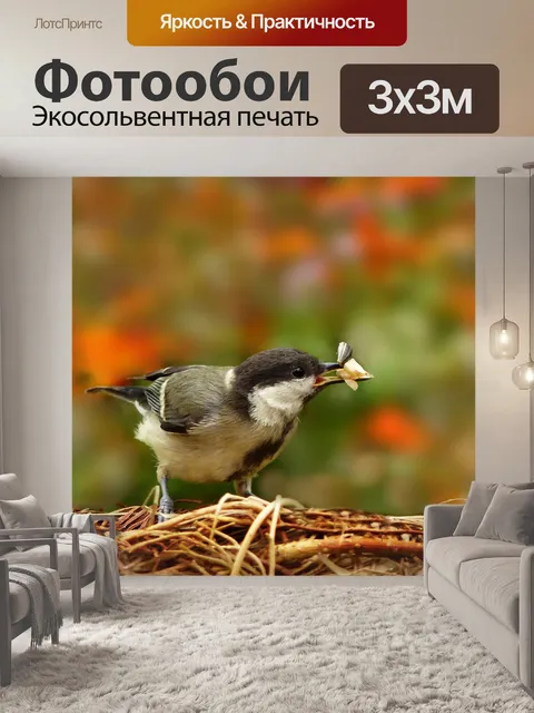 Фотообои Животное