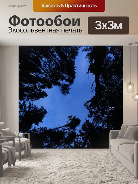 Фотообои Лес