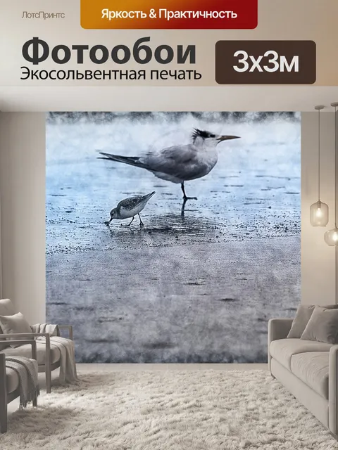 Фотообои крачка и песочница птицы