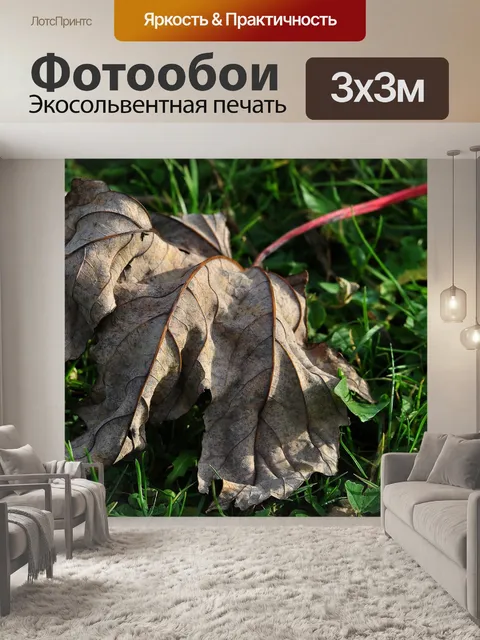 Фотообои Лист