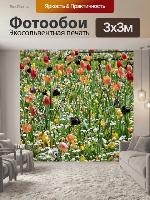 Фотообои Тюльпаны