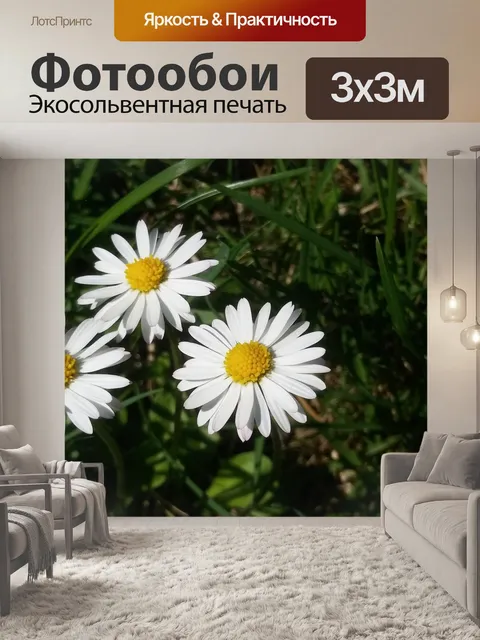 Фотообои Сад