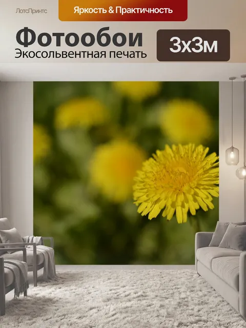 Фотообои Одуванчик