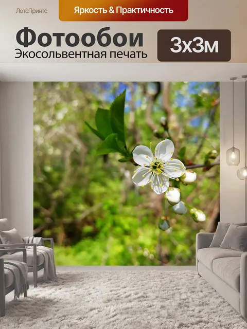 Фотообои Вишня