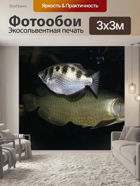 Фотообои Животные