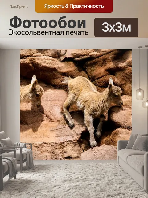 Фотообои Животные