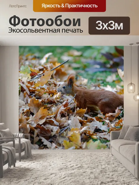 Фотообои Белка в саду