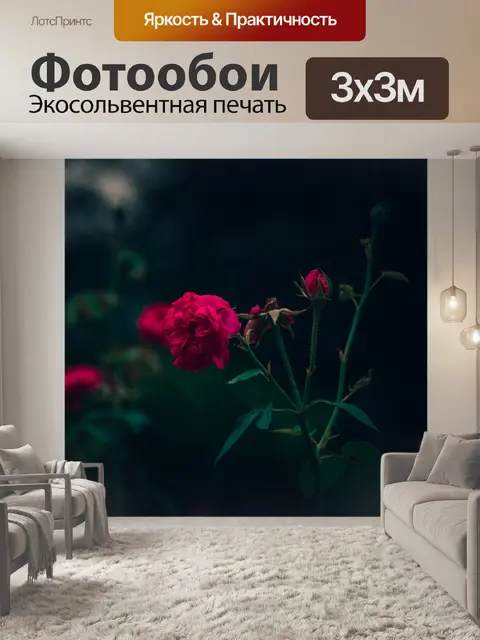 Фотообои Роза
