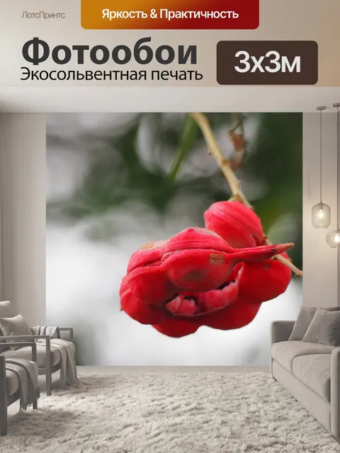 Фотообои Цветы