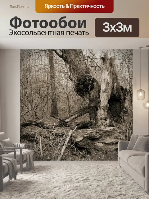 Фотообои Дерево
