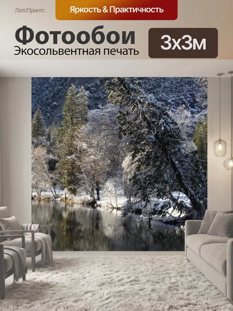 Фотообои Лес