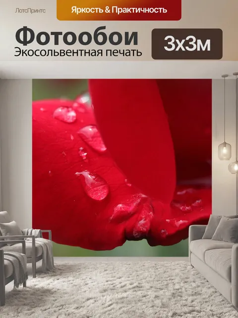 Фотообои Роза