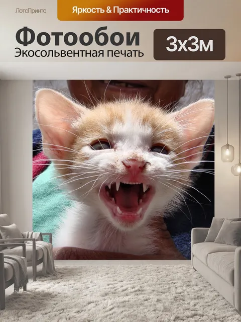 Фотообои Кошка