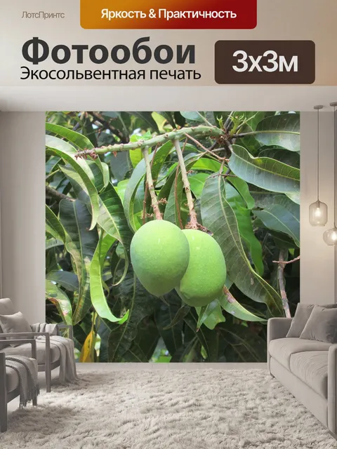Фотообои Манго