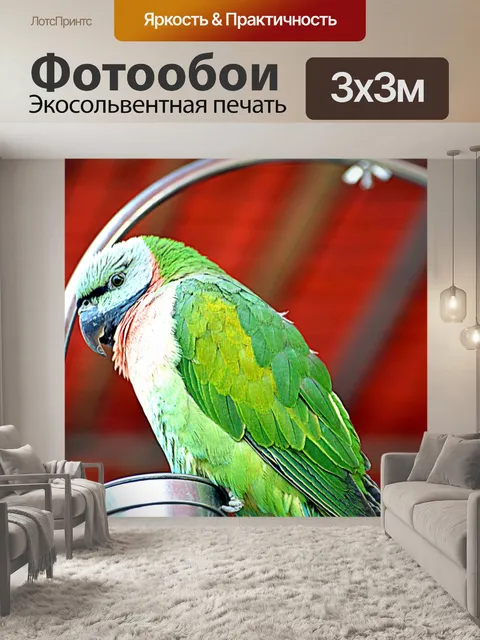 Фотообои Попугай