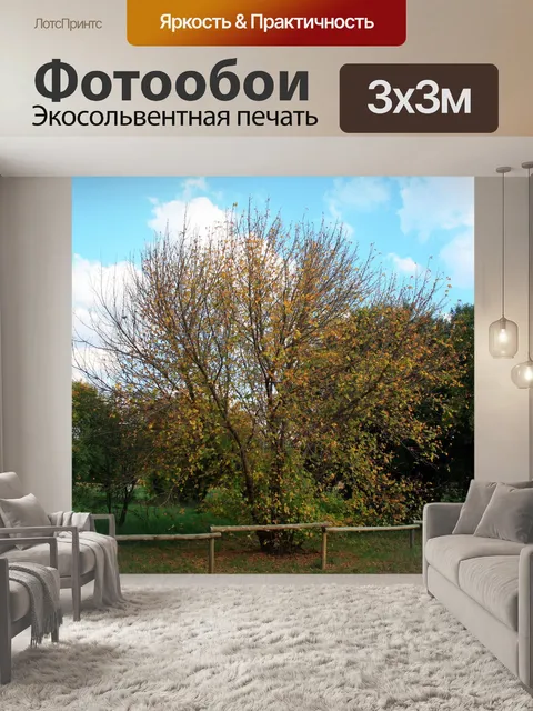 Фотообои деревья в парке