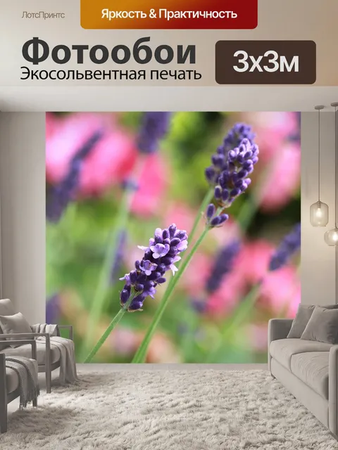 Фотообои Лаванда