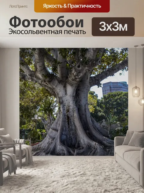 Фотообои Старое дерево в городе