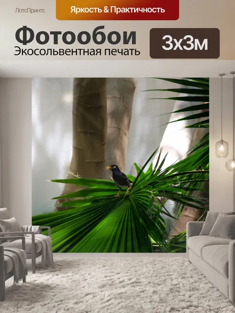 Фотообои Природа