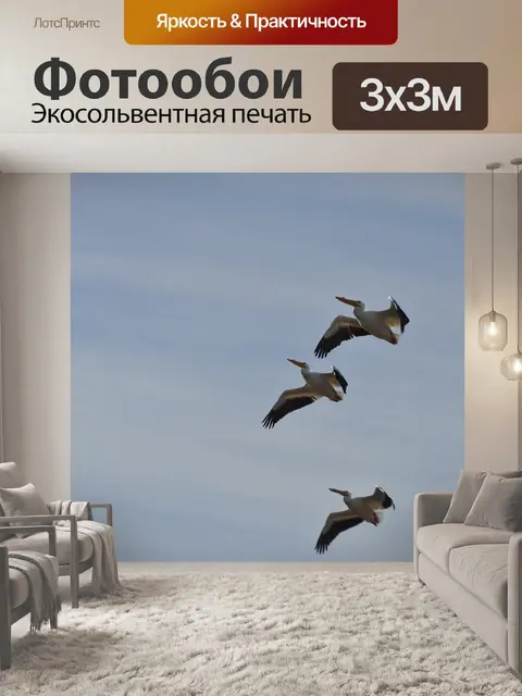 Фотообои Полет