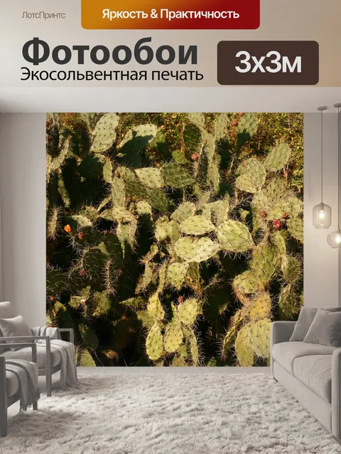 Фотообои Кактус