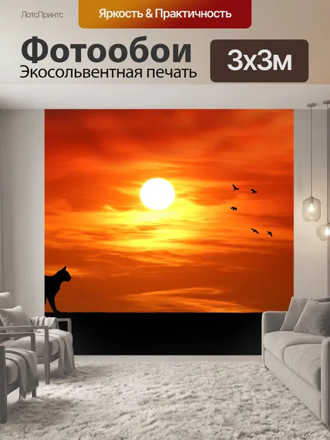 Фотообои Кошка на закате