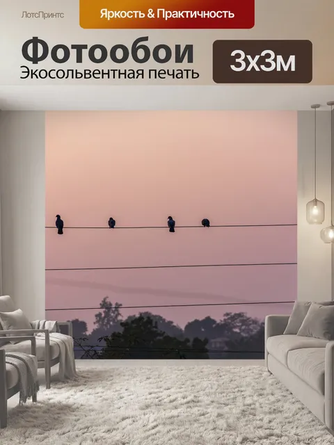 Фотообои Птицы