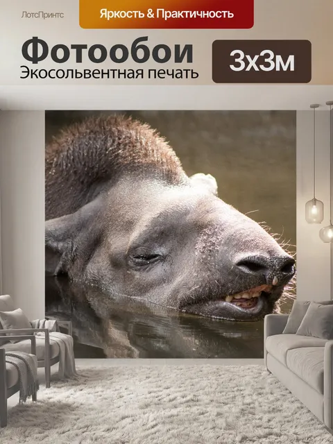 Фотообои Зоопарк