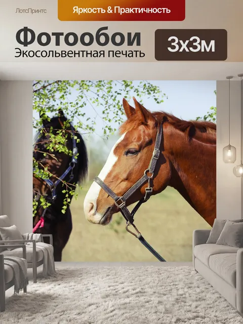 Фотообои Лошади