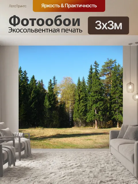 Фотообои Лес