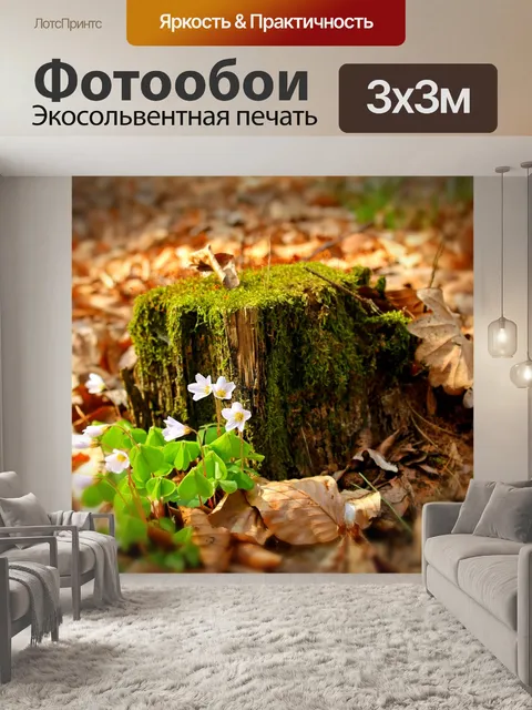 Фотообои Лес