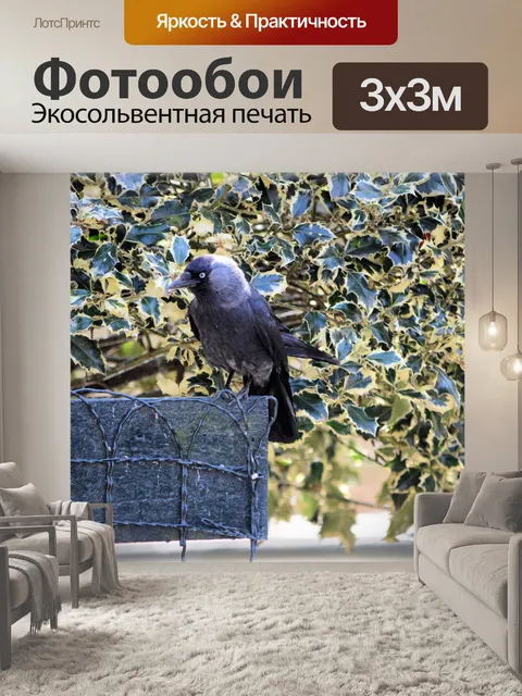 Фотообои Синяя птица