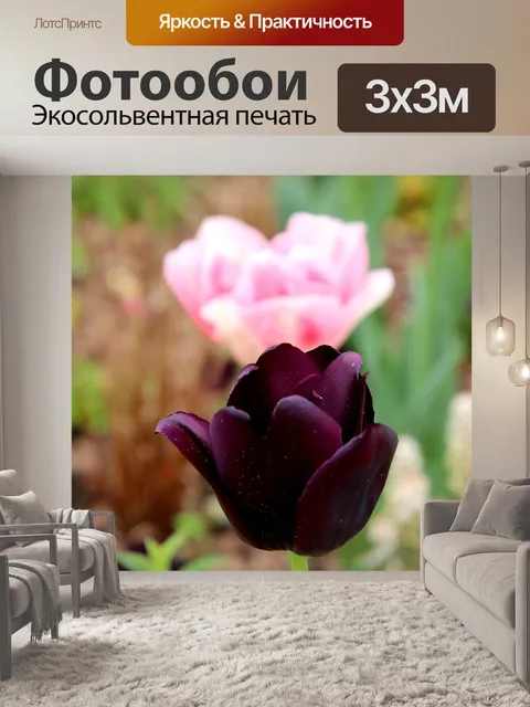 Фотообои Тюльпаны