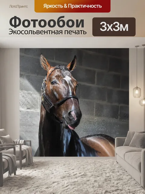 Фотообои Лошадь