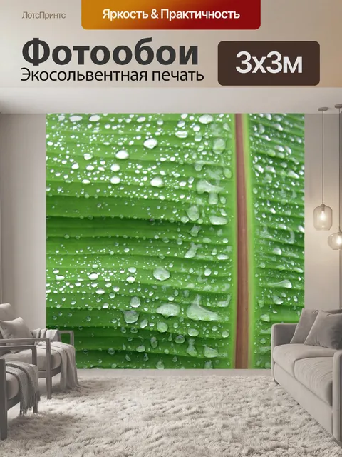 Фотообои Лист банановый