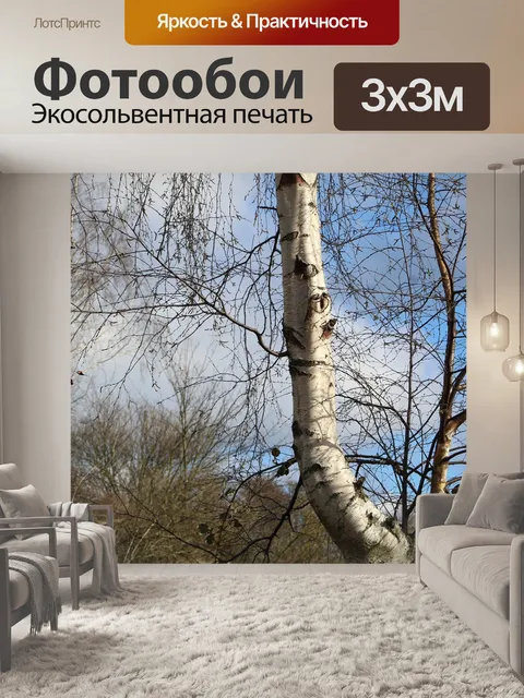 Фотообои Природа