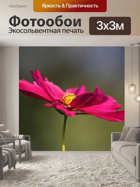 Фотообои Цветок космоса