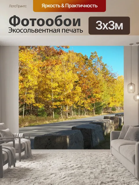 Фотообои Проселочная дорога