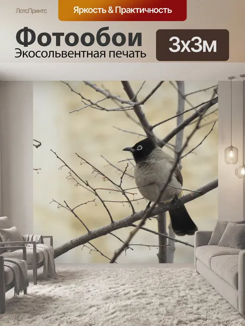 Фотообои Птицы