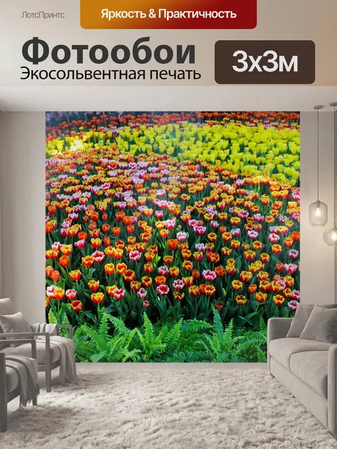 Фотообои Тюльпаны