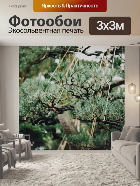 Фотообои Зеленый