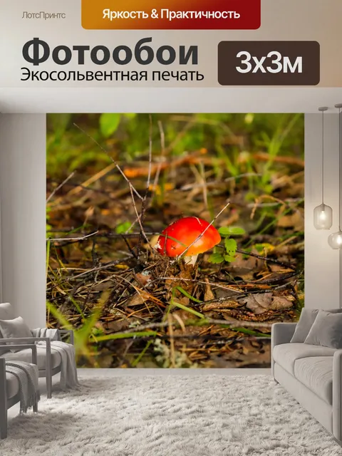 Фотообои Лес