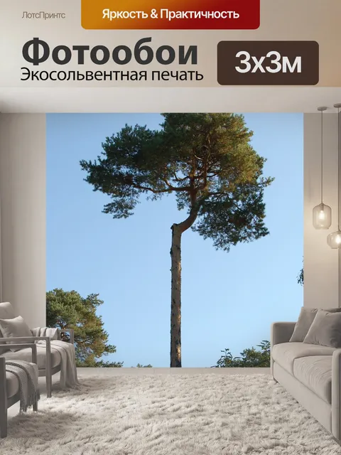 Фотообои Небеса